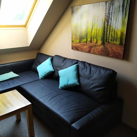 Cerna u Bohdance Podkrovni Apartman V Prirode, Vhodny K Relaxaci I Na Sluzebni Cesty 아파트 외부 사진