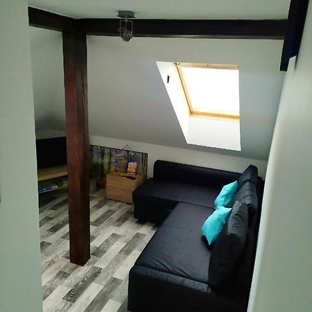 Cerna u Bohdance Podkrovni Apartman V Prirode, Vhodny K Relaxaci I Na Sluzebni Cesty 아파트 외부 사진