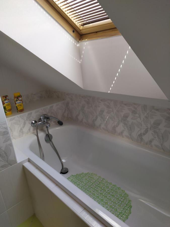 Cerna u Bohdance Podkrovni Apartman V Prirode, Vhodny K Relaxaci I Na Sluzebni Cesty 아파트 외부 사진