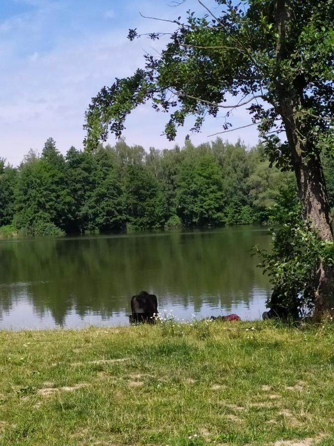 Cerna u Bohdance Podkrovni Apartman V Prirode, Vhodny K Relaxaci I Na Sluzebni Cesty 아파트 외부 사진