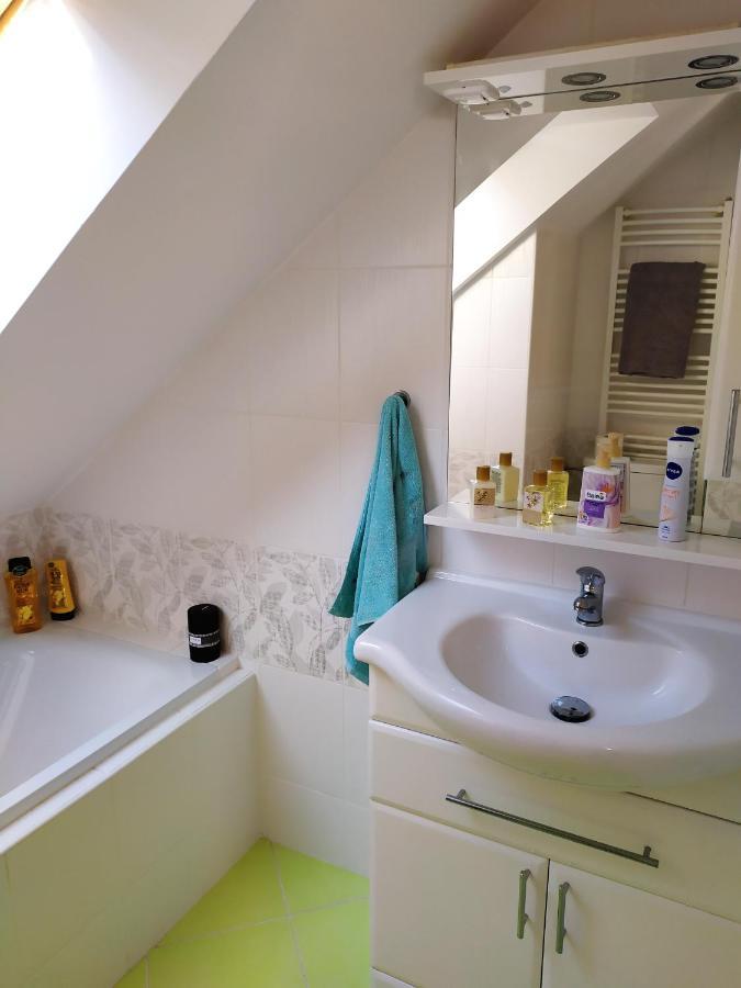 Cerna u Bohdance Podkrovni Apartman V Prirode, Vhodny K Relaxaci I Na Sluzebni Cesty 아파트 외부 사진